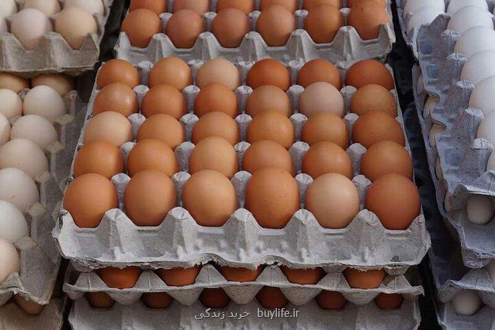 قیمت تخم مرغ در میادین و بازارهای میوه و تره بار