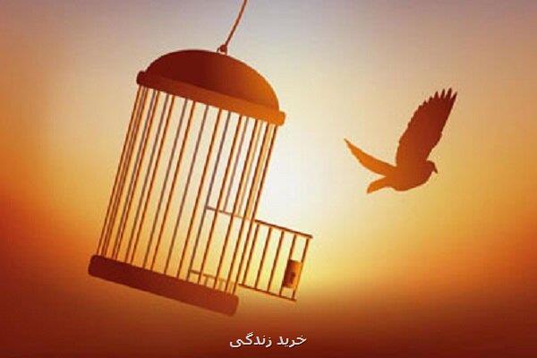 زمینه آزادی ۸ نفر از زندانیان مالی در استان تهران