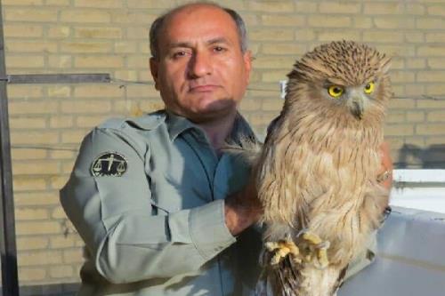 تشییع محیط بان شهید در بهبهان با حضور معاون رییس جمهور