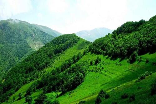 انجام ۱۲ هزار مورد تعقیب قضایی متخلفان منابع طبیعی کشور