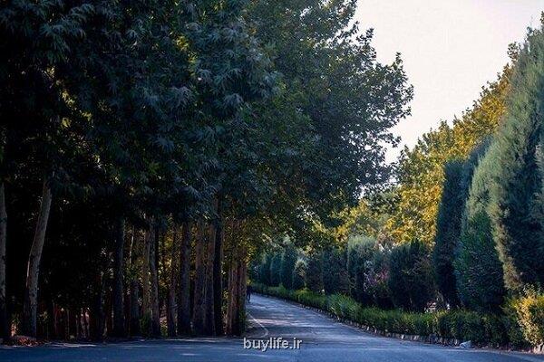 گسترش کمربند سبز پایتخت با 5 پروژه جدید فضای سبز