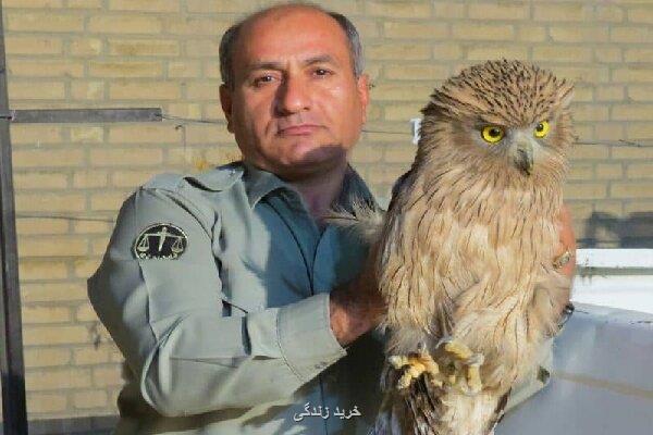 تشییع محیط بان شهید در بهبهان با حضور معاون رییس جمهور