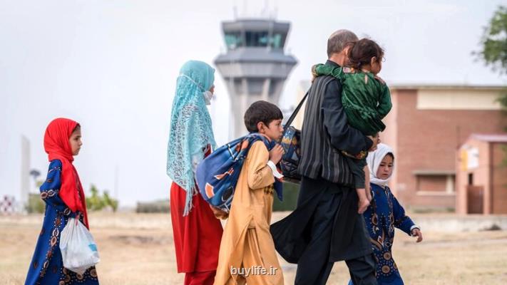 هشدار مسئولان قضایی درباره ی تبعات حقوقی حضور اتباع بدون مجوز در ایران
