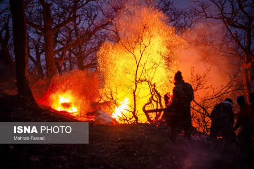 80 درصد حریق جنگل های هیرکانی مهار گشت