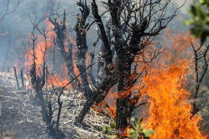 آتشسوزی کوه هفت تنان دزفول بعد از ۲ روز مهار گشت
