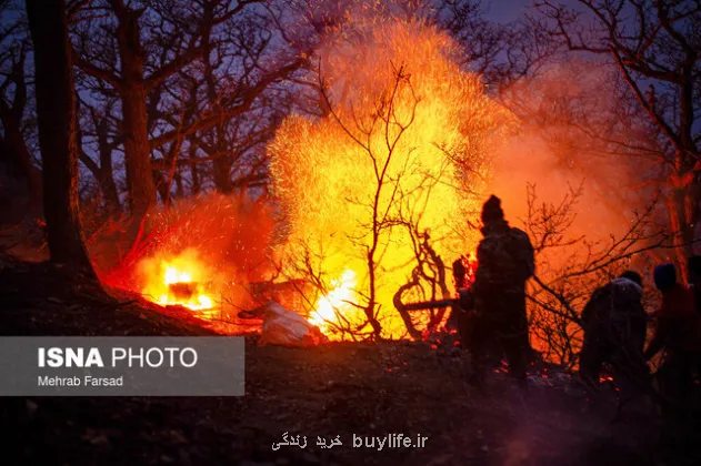 80 درصد حریق جنگل های هیرکانی مهار گشت