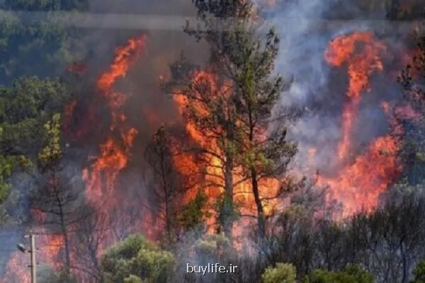 حریق جنگل های الیت هنوز بطور کامل مهار نشده است