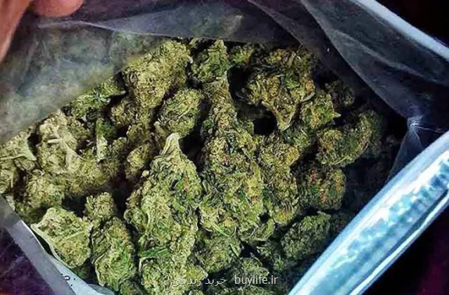 برخوردها ادامه دارد