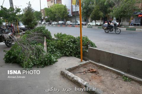 وقوع طوفان تندری در بعضی مناطق كشور طی امروز و فردا
