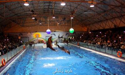 مجموعه هایی مانند دلفیناریوم یك نوع حیوان آزاری است
