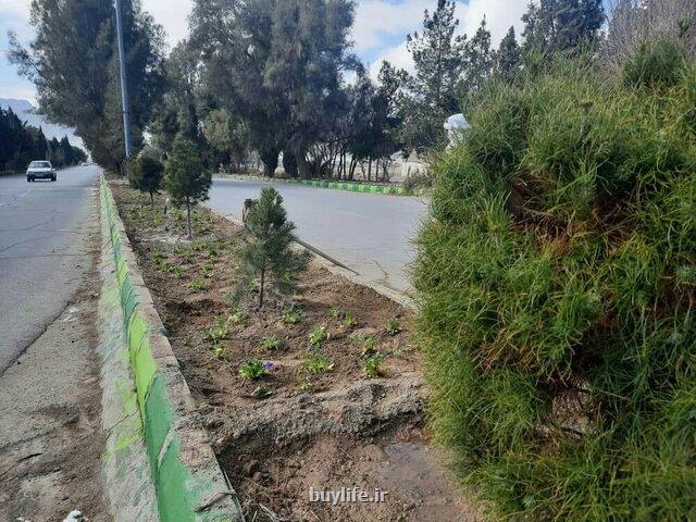 كاشت 5000 اصله درخت و گل زینتی در خاش
